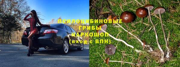 винт Алзамай
