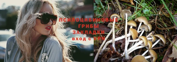 мет Алексин