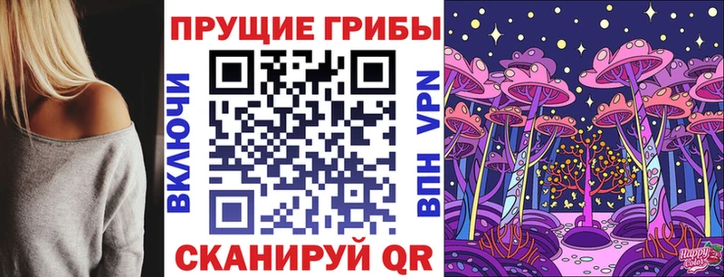 что такое Муром МЕГА маркетплейс Псилоцибиновые грибы Cubensis